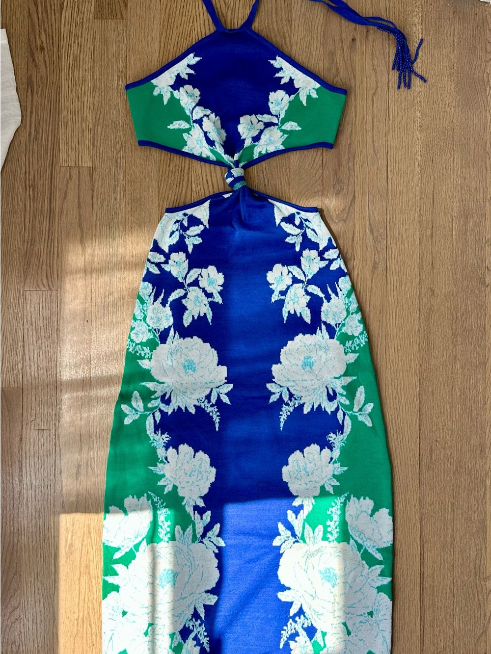 FARM Rio Soft Garden Maxi Dress - Picture 3 of 7